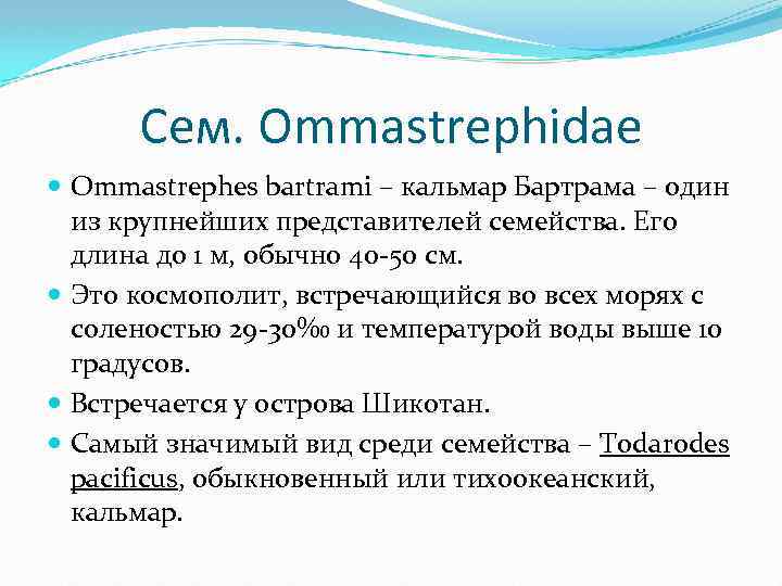 Сем. Ommastrephidae Ommastrephes bartrami – кальмар Бартрама – один из крупнейших представителей семейства. Его