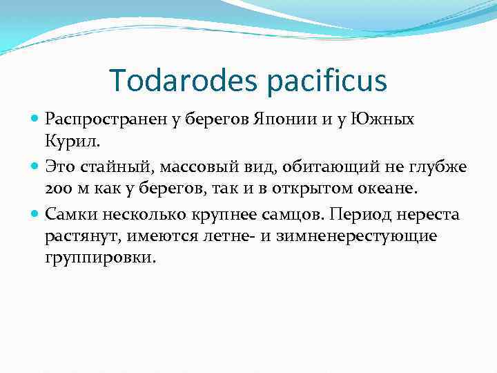 Todarodes pacificus Распространен у берегов Японии и у Южных Курил. Это стайный, массовый вид,