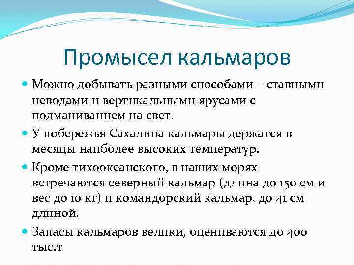 Промысел кальмаров Можно добывать разными способами – ставными неводами и вертикальными ярусами с подманиванием