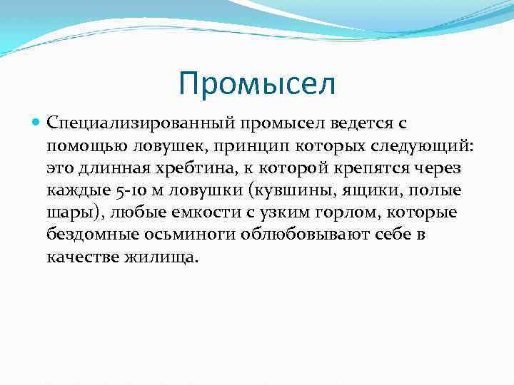 Промысел Специализированный промысел ведется с помощью ловушек, принцип которых следующий: это длинная хребтина, к