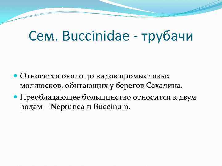 Сем. Buccinidae - трубачи Относится около 40 видов промысловых моллюсков, обитающих у берегов Сахалина.