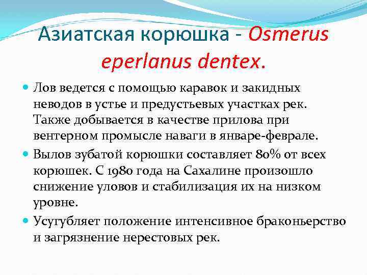 Азиатская корюшка - Osmerus eperlanus dentex. Лов ведется с помощью каравок и закидных неводов