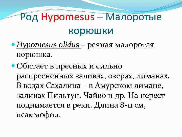Род Hypomesus – Малоротые корюшки Hypomesus olidus – речная малоротая корюшка. Обитает в пресных