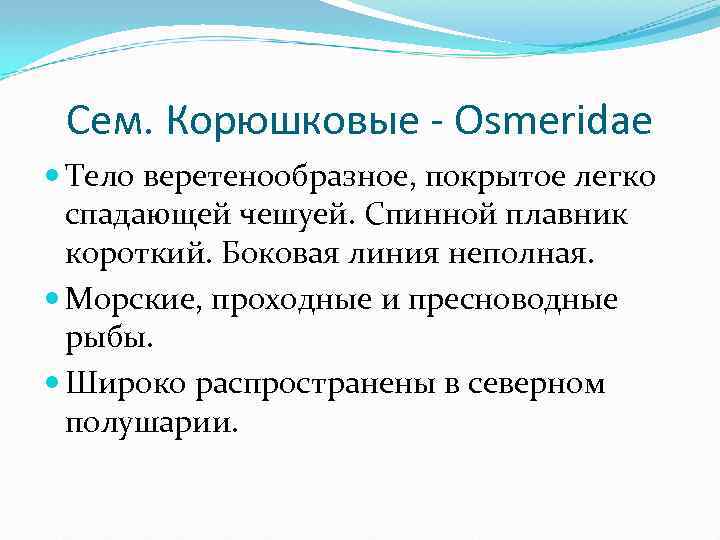 Сем. Корюшковые - Osmeridae Тело веретенообразное, покрытое легко спадающей чешуей. Спинной плавник короткий. Боковая
