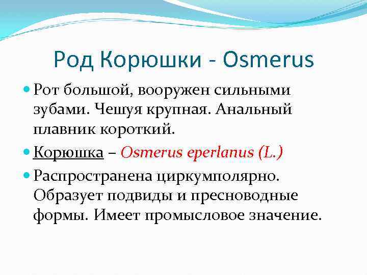 Род Корюшки - Osmerus Рот большой, вооружен сильными зубами. Чешуя крупная. Анальный плавник короткий.