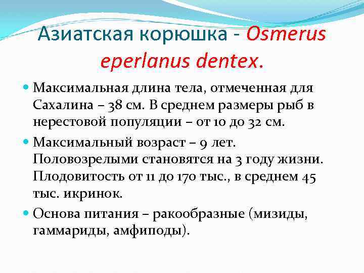 Азиатская корюшка - Osmerus eperlanus dentex. Максимальная длина тела, отмеченная для Сахалина – 38