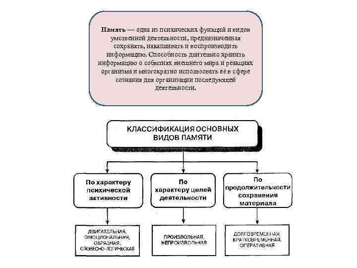 Память — одна из психических функций и видов умственной деятельности, предназначенная сохранять, накапливать и