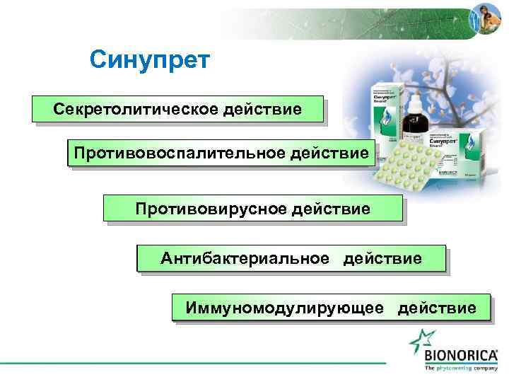 Синупрет Секретолитическое действие Противовоспалительное действие Отек, воспаление слизистой Противовирусное действие Антибактериальное действие Бактериальная инфекция