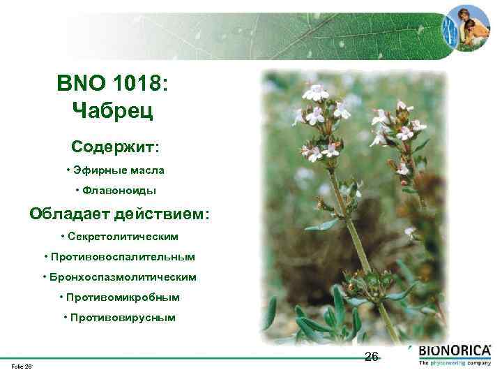 BNO 1018: Чабрец Содержит: • Эфирные масла • Флавоноиды Обладает действием: • Секретолитическим •