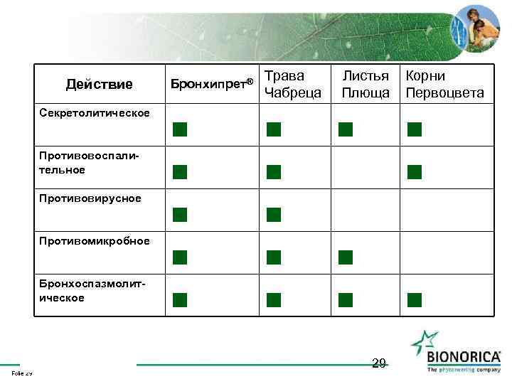 Действие Секретолитическое Противовоспалительное Противовирусное Противомикробное Бронхоспазмолитическое Folie 29 Бронхипрет® Трава Чабреца ■ ■ ■
