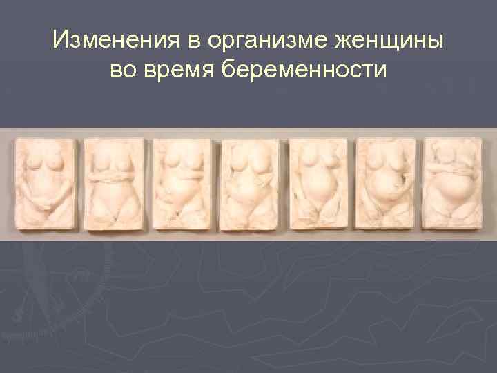 Изменения в организме женщины во время беременности 