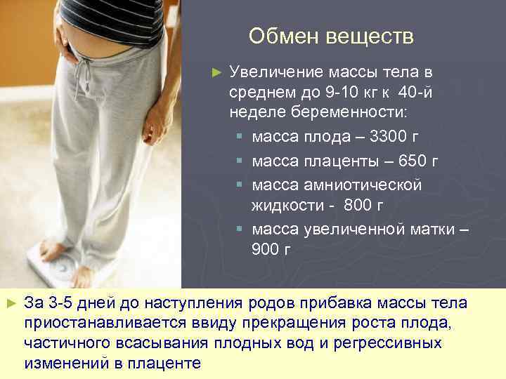 Обмен веществ ► ► Увеличение массы тела в среднем до 9 -10 кг к