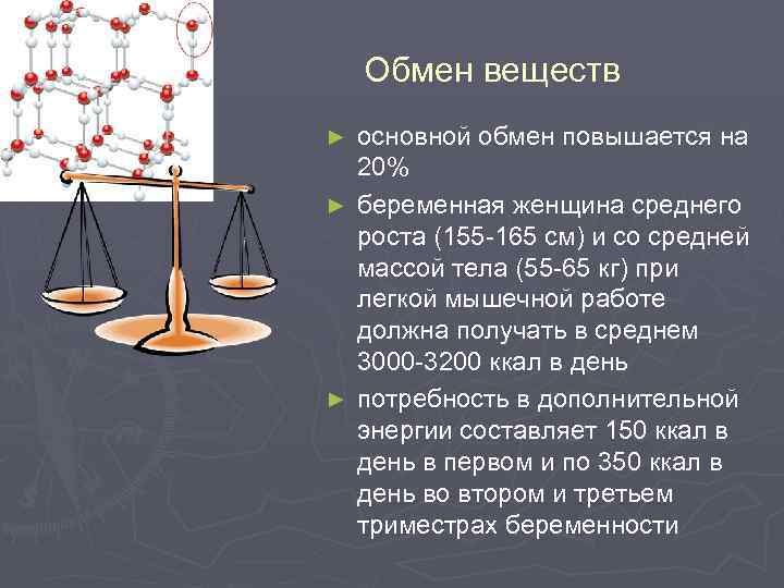 Обмен веществ основной обмен повышается на 20% ► беременная женщина среднего роста (155 -165