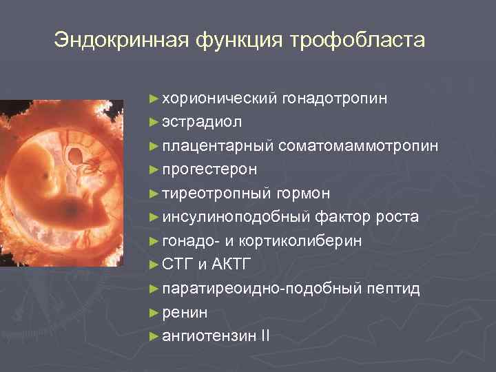 Эндокринная функция трофобласта ► хорионический гонадотропин ► эстрадиол ► плацентарный соматомаммотропин ► прогестерон ►