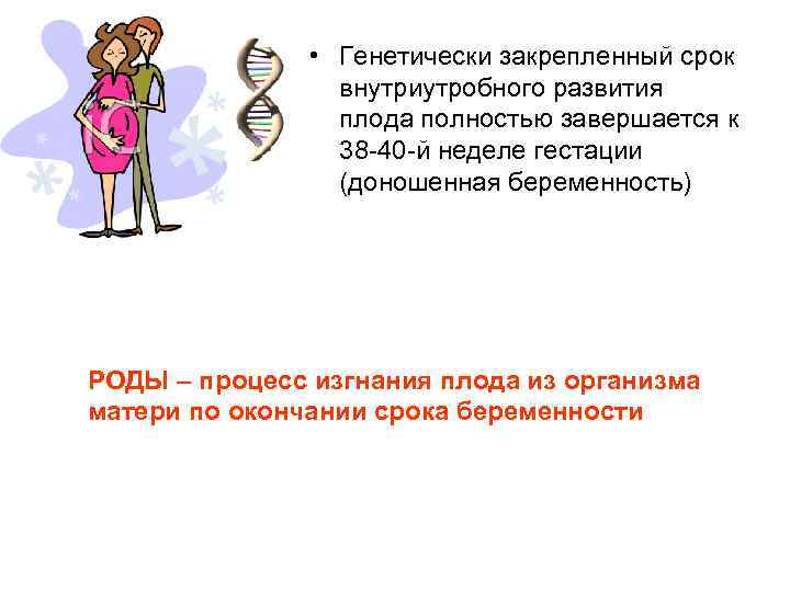  • Генетически закрепленный срок внутриутробного развития плода полностью завершается к 38 -40 -й