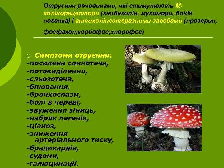 Отруєння речовинами, які стимулюють Мхолінорецептори (карбахолін, мухомори, бліда поганка) і антихолінестеразними засобами (прозерин, фосфакол,