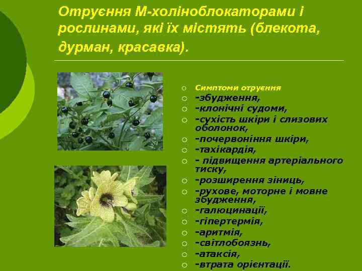 Отруєння М-холіноблокаторами і рослинами, які їх містять (блекота, дурман, красавка). ¡ ¡ ¡ ¡