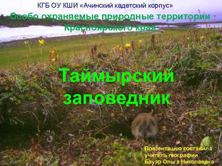 КГБ ОУ КШИ «Ачинский кадетский корпус» Особо охраняемые природные территории Красноярского края Таймырский заповедник