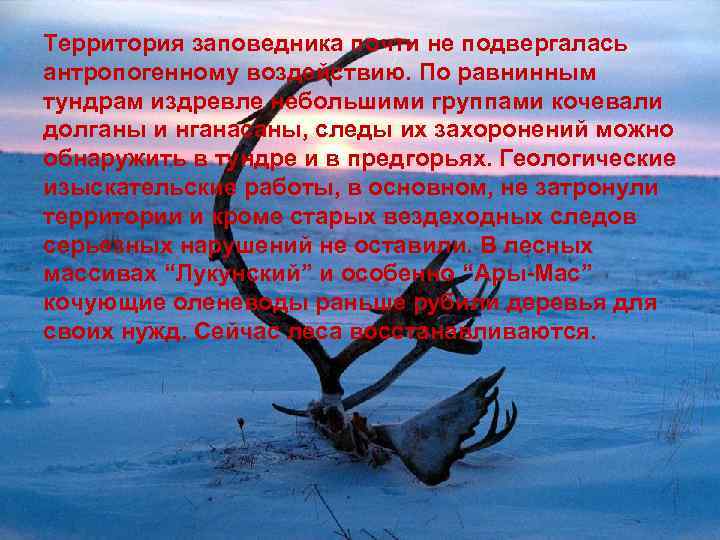 Территория заповедника почти не подвергалась антропогенному воздействию. По равнинным тундрам издревле небольшими группами кочевали