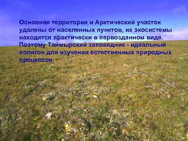Основная территория и Арктический участок удалены от населенных пунктов, их экосистемы находятся практически в