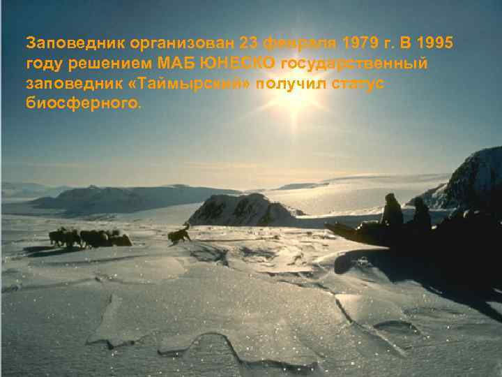 Заповедник организован 23 февраля 1979 г. В 1995 году решением МАБ ЮНЕСКО государственный заповедник