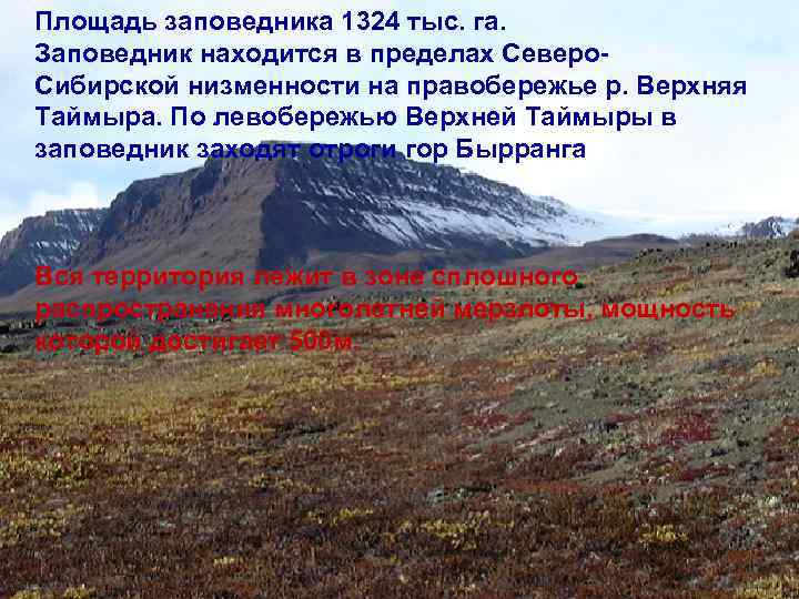 Площадь заповедника 1324 тыс. га. Заповедник находится в пределах Северо. Сибирской низменности на правобережье