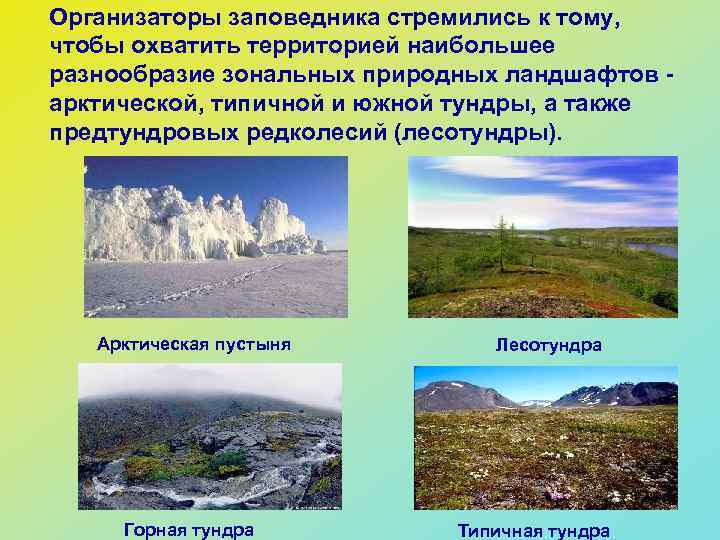 Организаторы заповедника стремились к тому, чтобы охватить территорией наибольшее разнообразие зональных природных ландшафтов арктической,