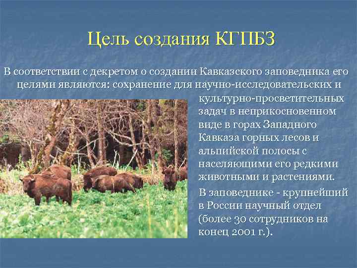 Цель создания КГПБЗ В соответствии с декретом о создании Кавказского заповедника его целями являются: