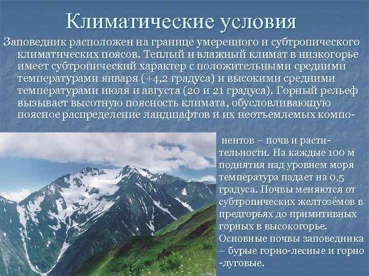 Климатические условия Заповедник расположен на границе умеренного и субтропического климатических поясов. Теплый и влажный