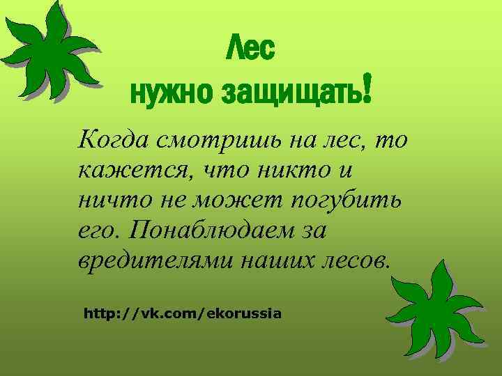 Лес нужно защищать! Когда смотришь на лес, то кажется, что никто и ничто не