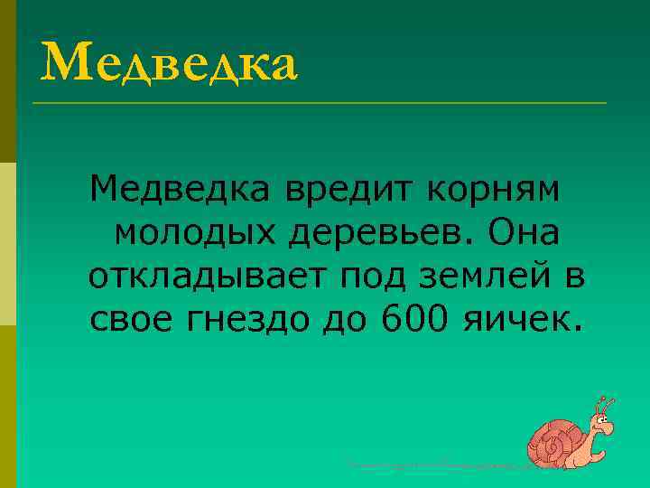 Медведка вредит корням молодых деревьев. Она откладывает под землей в свое гнездо до 600