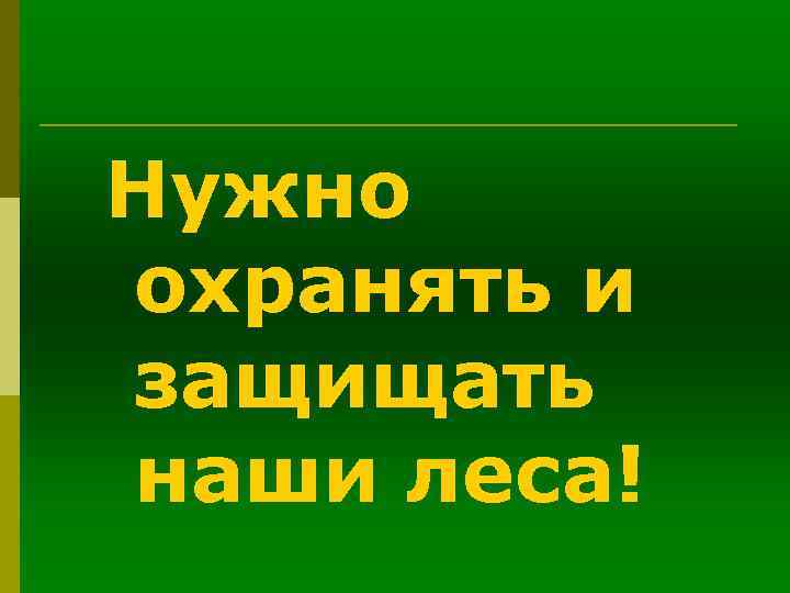 Нужно охранять и защищать наши леса! 