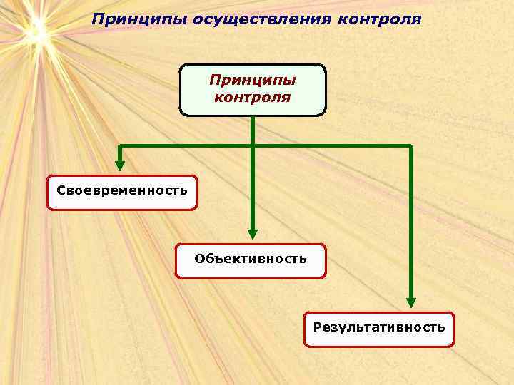 Принципы осуществления контроля Принципы контроля Своевременность Объективность Результативность 