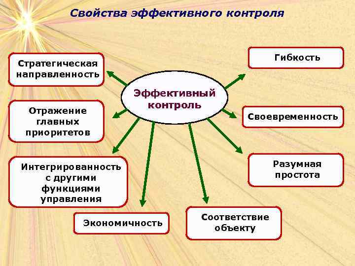 Свойства эффективного контроля Гибкость Стратегическая направленность Отражение главных приоритетов Эффективный контроль Своевременность Разумная простота