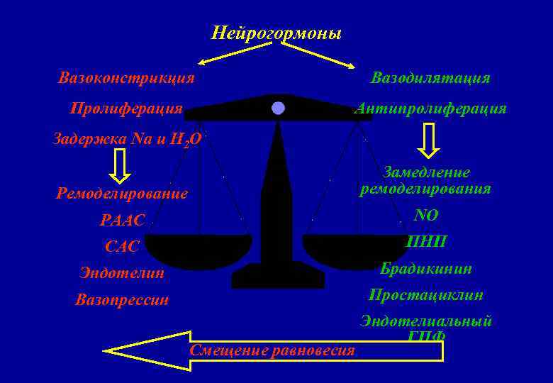 Нейрогормоны Вазоконстрикция Вазодилятация Пролиферация Антипролиферация Задержка Na и H 2 O Ремоделирование Замедление ремоделирования