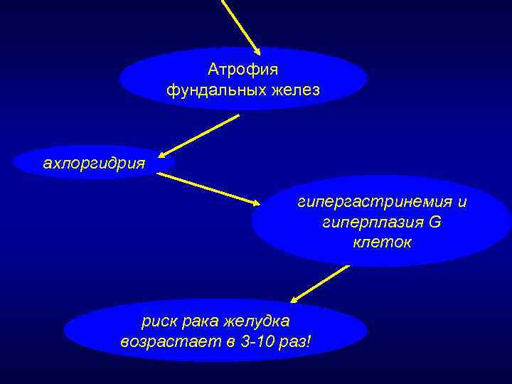 Атрофия фундальных желез ахлоргидрия гипергастринемия и гиперплазия G клеток риск рака желудка возрастает в