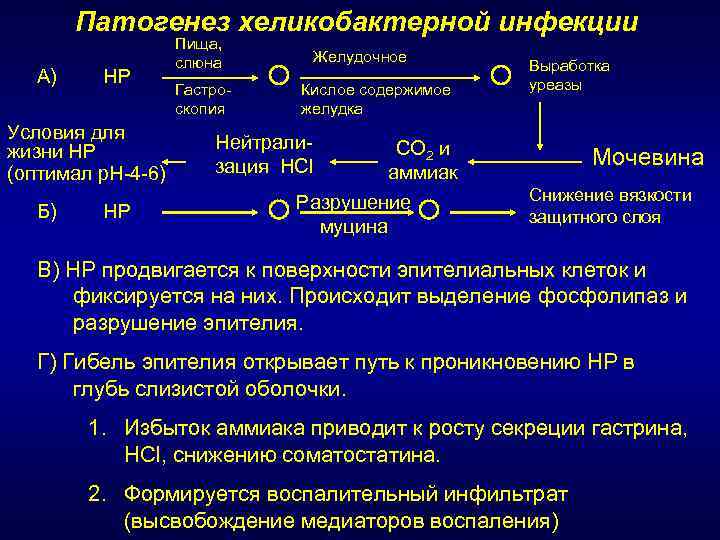 Этиология и патогенез язвенной болезни желудка презентация