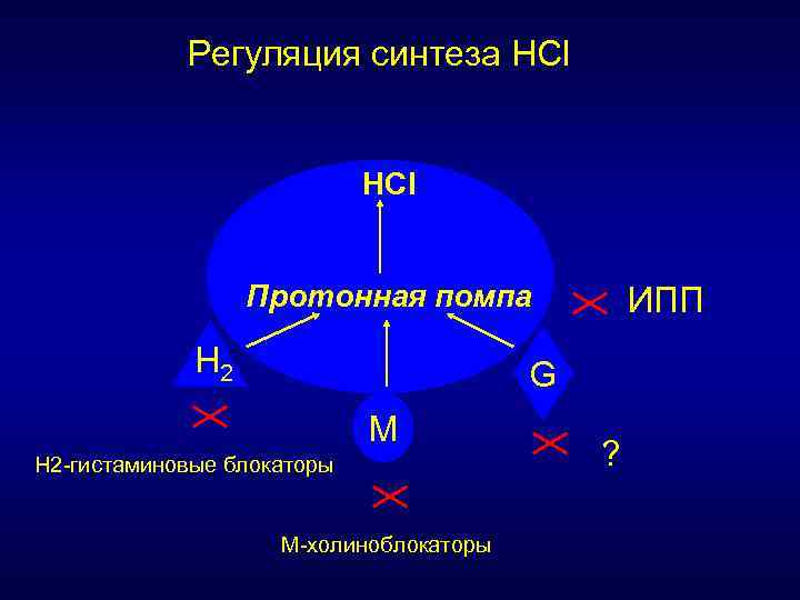 Регуляция синтеза HCl Протонная помпа H 2 ИПП G M Н 2 -гистаминовые блокаторы