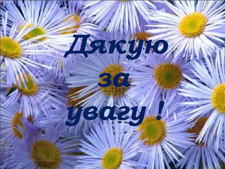  Дякую за увагу ! 