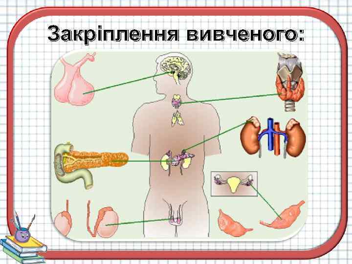 Закріплення вивченого: 