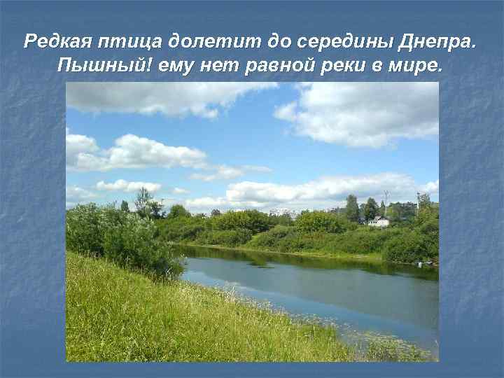 Река равен. Редкая птица долетит до середины. Ни одна птица не долетит до середины Днепра. «Редкая… Долетит до середины Днепра!»:.