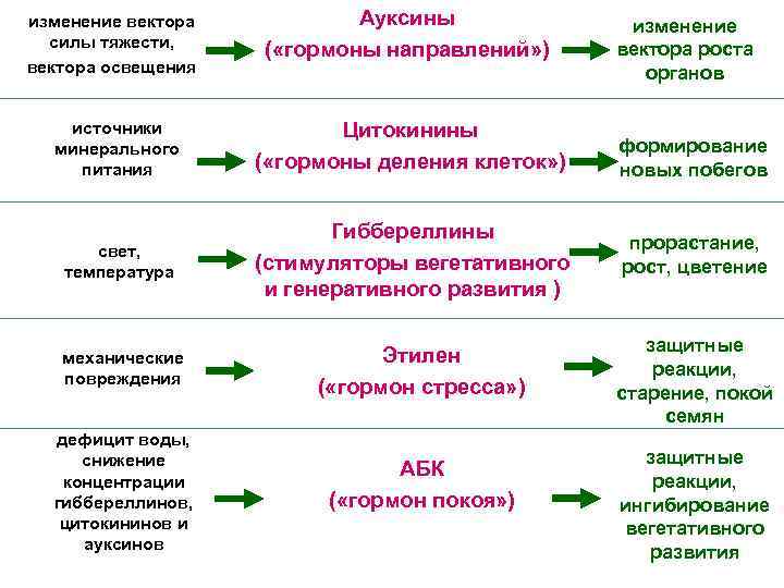 изменение вектора силы тяжести, вектора освещения Ауксины ( «гормоны направлений» ) источники минерального питания