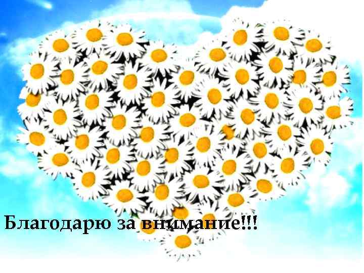 БЛАГОДАРЮ ЗА ВНИМАНИЕ Благодарю за внимание!!! 