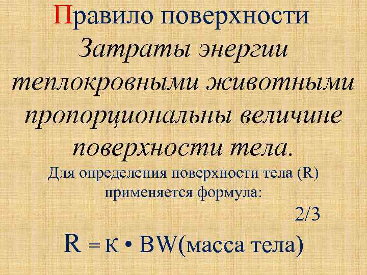 Правило поверхности Затраты энергии теплокровными животными пропорциональны величине поверхности тела. Для определения поверхности тела