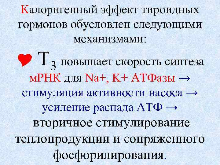 Калоригенный эффект тироидных гормонов обусловлен следующими механизмами: Т 3 повышает скорость синтеза м. РНК