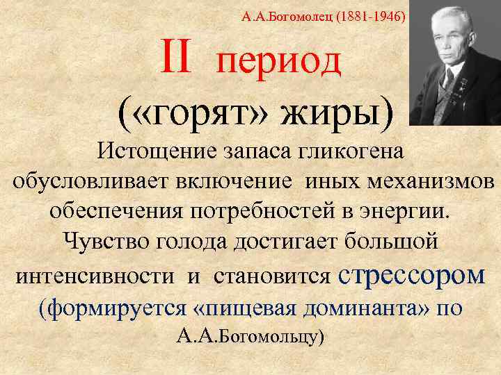  А. А. Богомолец (1881 -1946) II период ( «горят» жиры) Истощение запаса гликогена