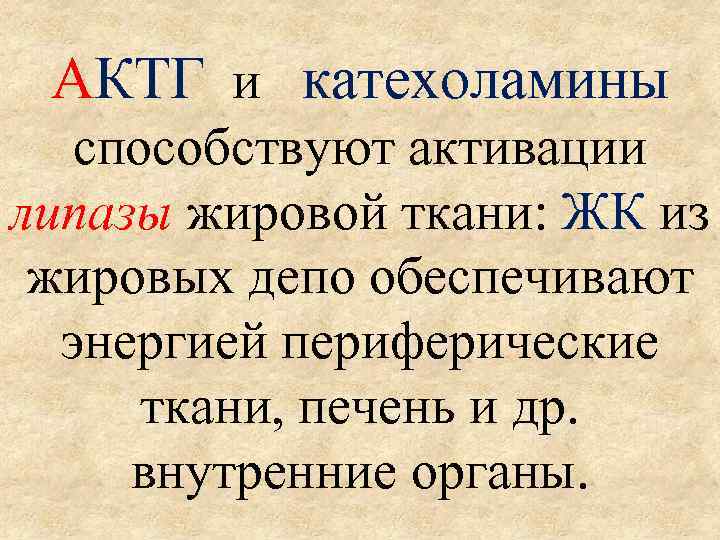 АКТГ и катехоламины способствуют активации липазы жировой ткани: ЖК из жировых депо обеспечивают энергией