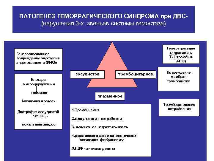 Механизм развития геморрагического синдрома