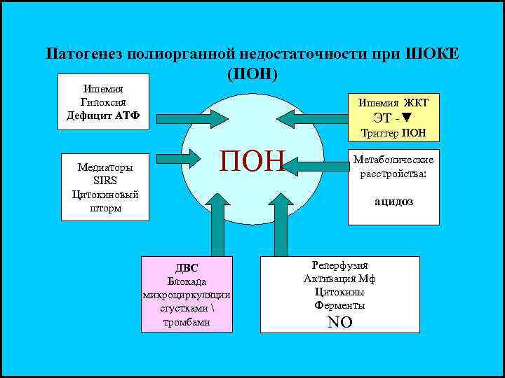 Патогенез полиорганной недостаточности при ШОКЕ (ПОН) Ишемия Гипоксия Дефицит АТФ Ишемия ЖКТ ЭТ -▼