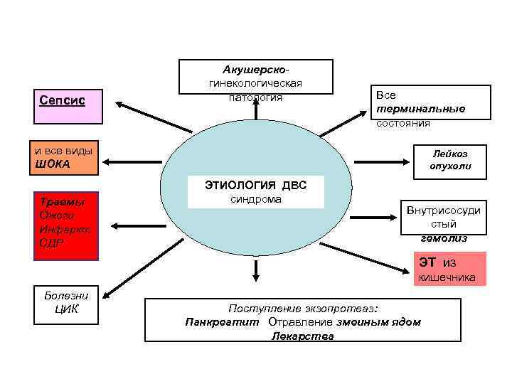 Сепсис Акушерскогинекологическая патология и все виды ШОКА Травмы Ожоги Инфаркт СДР Все терминальные состояния